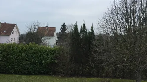 La douceur revient en Côte d’Or 